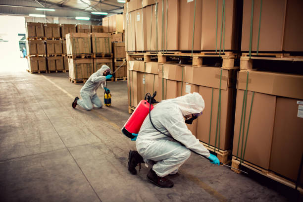 Flea Control Services in Roxboro, NC