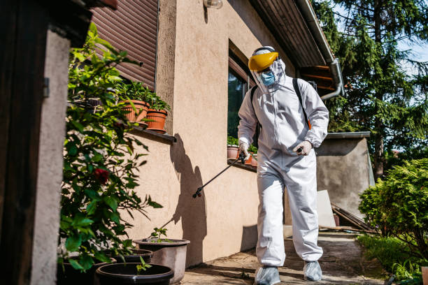 Best Rat Extermination Near Me  in Roxboro, NC