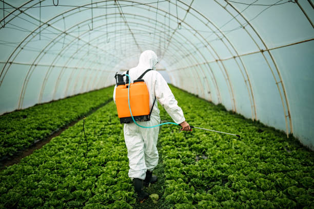 Best Commercial Pest Control Services  in Roxboro, NC