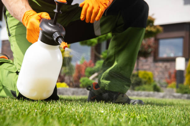  Roxboro, NC Pest Control Pros