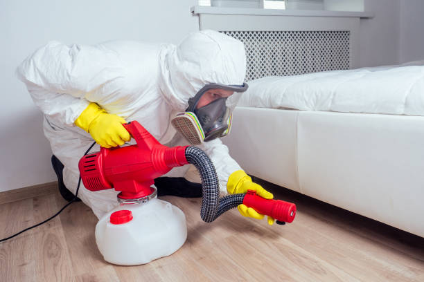 Best Ant Control Services  in Roxboro, NC