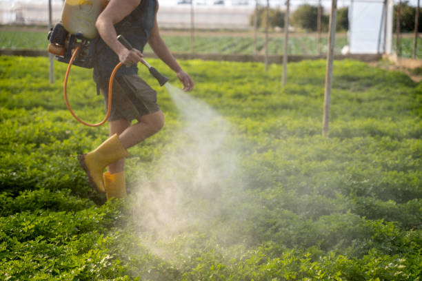 Best Pest Inspection Near Me  in Roxboro, NC