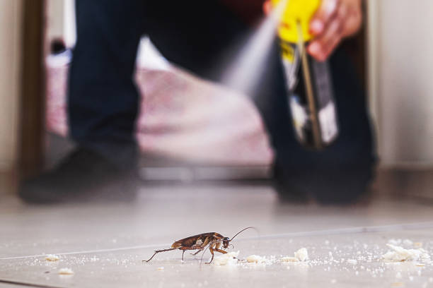 Best Best Pest Control Companies  in Roxboro, NC